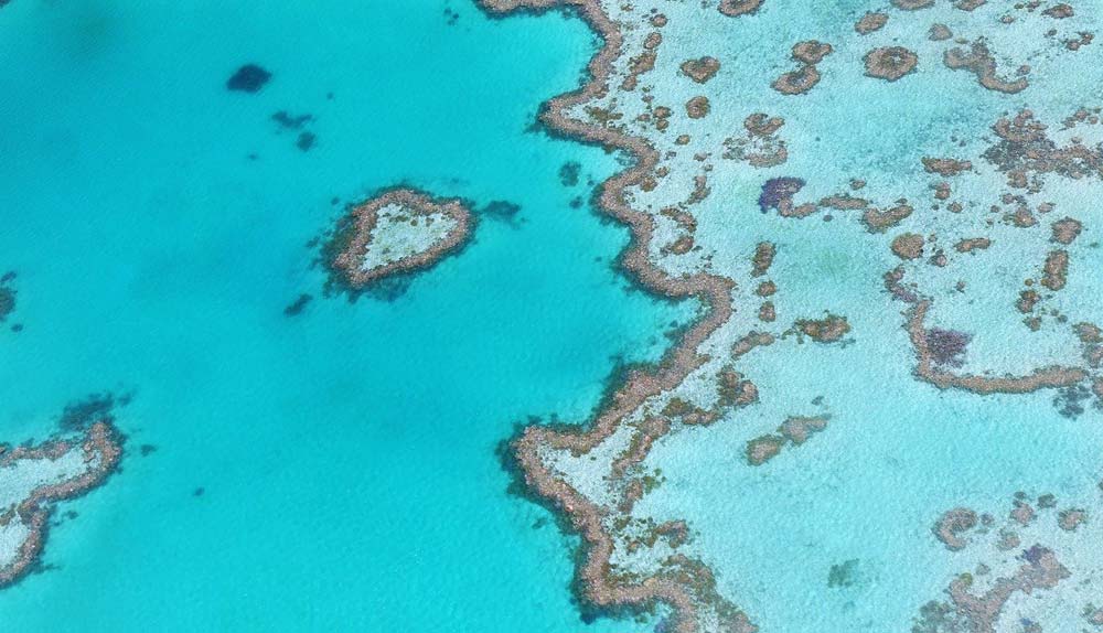 Great Barrier Reef From Hamilton Island